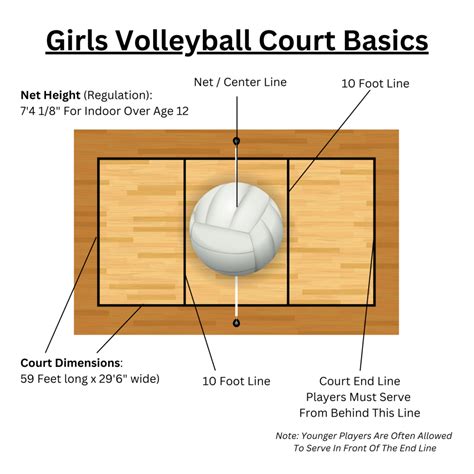 Volleyball Court Basics: Girls Net Height + Dimensions For Indoor VB