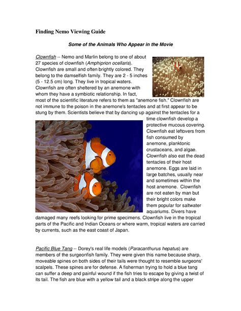 Image result for Finding Nemo Visual Commentary Index Part 1