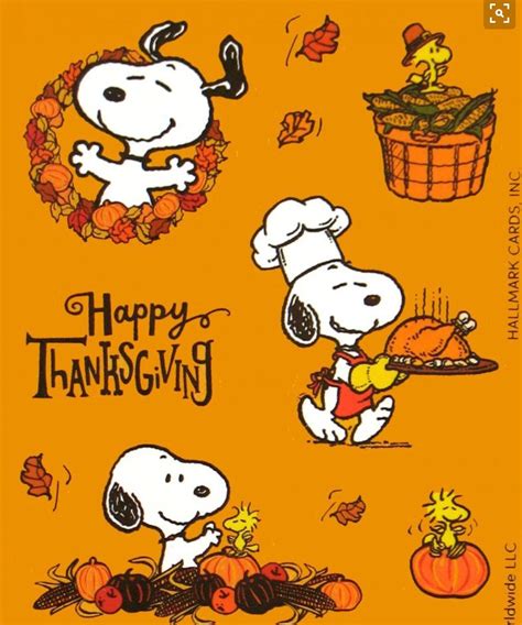 Snoopy is a great chef! | Thanksgiving snoopy, Thanksgiving pictures ...