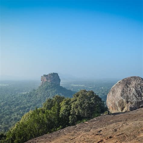 BACS BEES TOURS (2025) All You Need to Know BEFORE You Go (with Photos ...