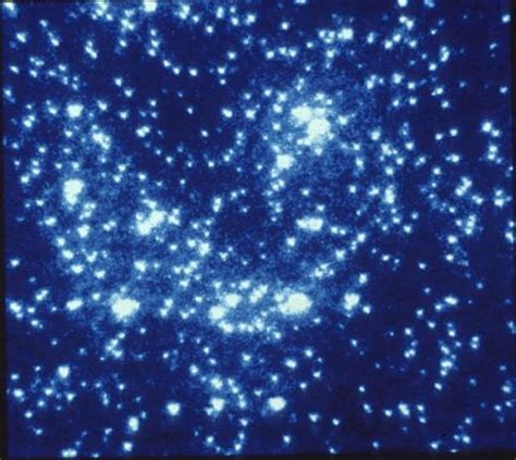 Clusters in SQL Server 的图像结果