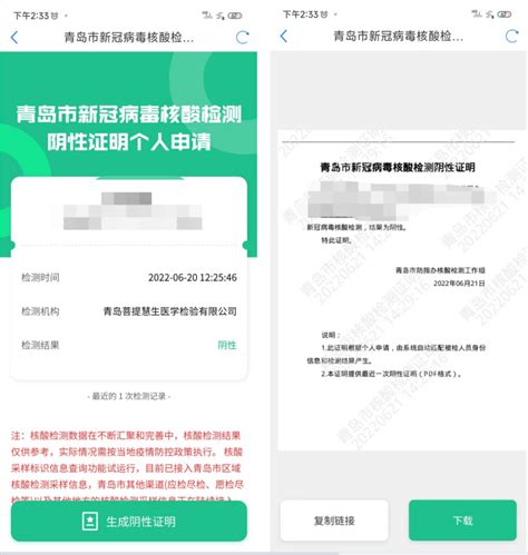 无需多跑一趟 青岛市电子核酸检测阴性证明正式启用 - 青岛新闻网