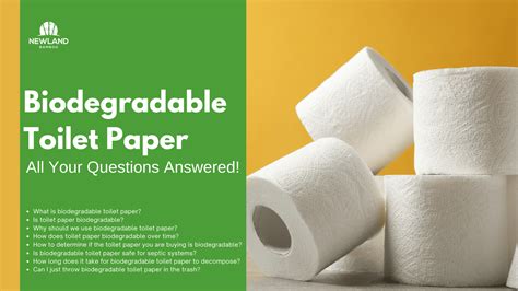 Papier hygiénique biodégradable - Toutes les réponses à vos questions