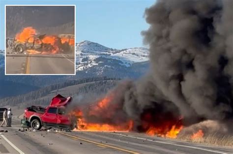 Tourist gored by bison at Yellowstone National Park