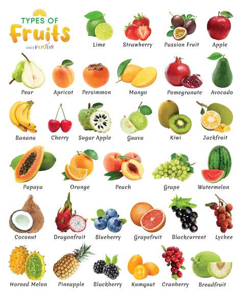 Fruit Classification List at Mai Lowder blog