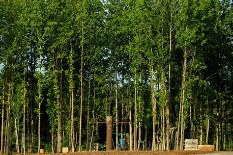 Graham Regional Park