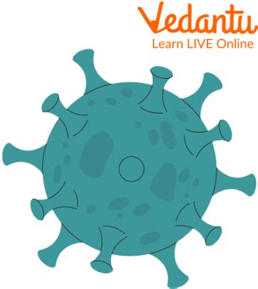 Image result for How Do Viruses Work