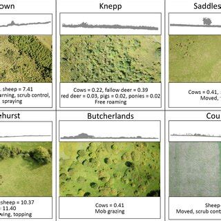 Image result for Vegetations Field Study Examples