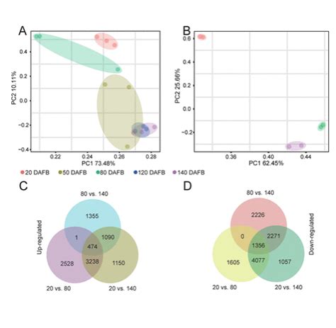 Transcriptome Plot 的图像结果