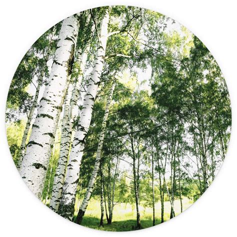 Round wall mural Sunshine Forest - non self-adhesive/self-adhesive ...