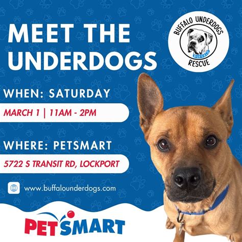 Meet the Underdogs , PetSmart (Lockport, NY), 1 March 2025 | AllEvents