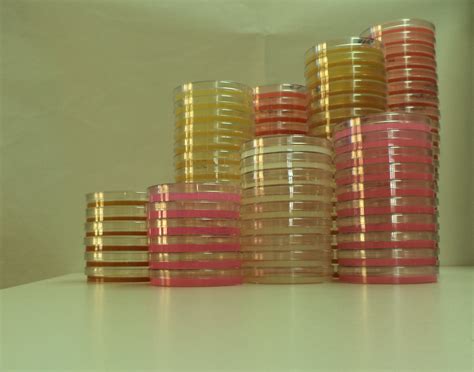 Image result for Ruby Arrays