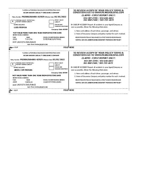G 12 CADILLLAR INTROD - FLORIDA AUTOMOBILE INSURANCE IDENTIFICATION ...