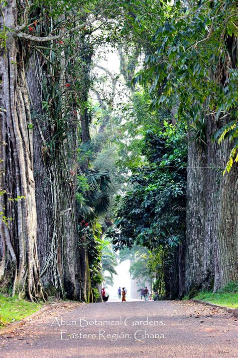 Aburi Botanical Gardens | GhanaTRVL