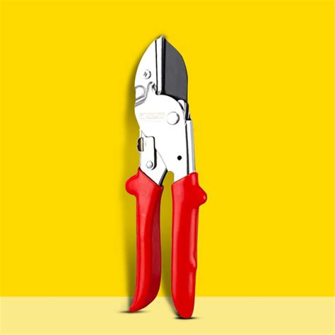 Kraft Seeds by 10CLUB Pruning Shear Cutter - 1 Pc (Bypass Iron Pruner ...