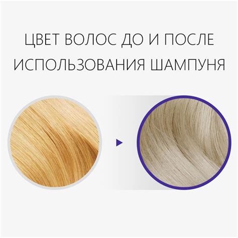 Шампунь для устранения желтизны — Teletype