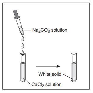 A student adds a small amount of sodium carbonate (Na2CO3) solution to ...