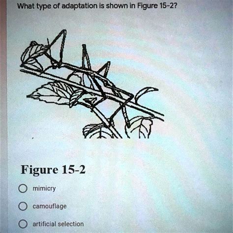 SOLVED: What type of adaptation is shown in Figure 15-2? A. mimicry B. camouflage C. artificial ...