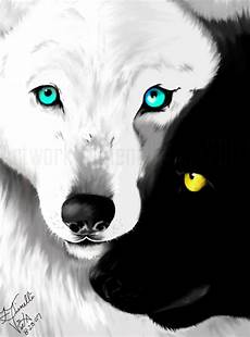 Wolf Wallpaper Wolf Yin Yang by Yin Yang Wolves By Basurabin On Deviantart Wolf Wallpaper Wolf Yin Yang