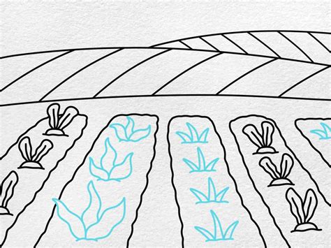 How to Draw a Farm Field - HelloArtsy