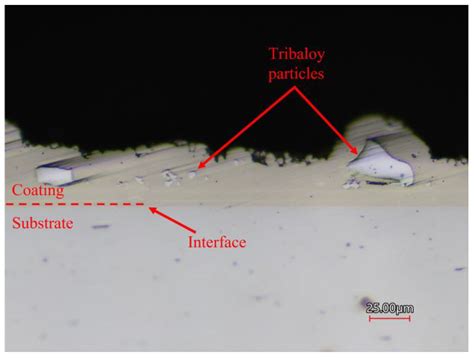 Low-Stress Abrasion of Novel Ni-P-Tribaloy Composite Coating