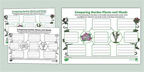 Comparing Garden Plants and Weeds Mind Map