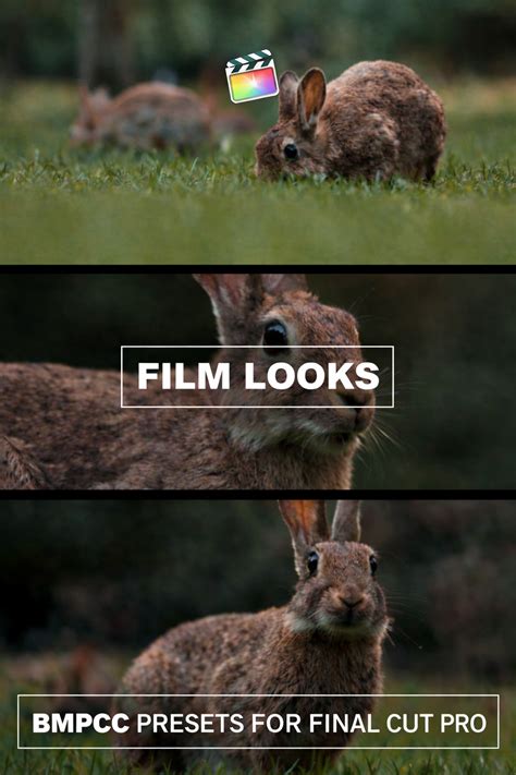 Professional BMPCC Presets for Final Cut Pro - FilterGrade