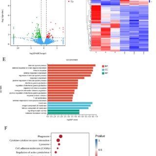 Image result for Transcriptomic Analysis