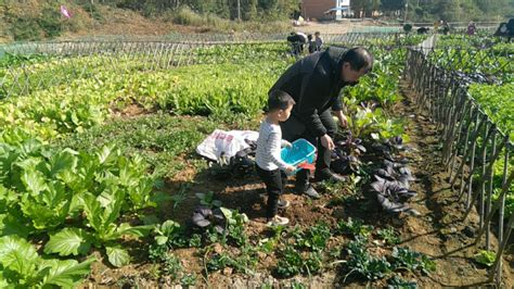 培育家庭农场，江苏的这些经验值得借鉴|农业农村|南京市|江苏_新浪新闻