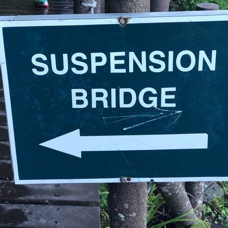 Storms River Suspension Bridge (Tsitsikamma National Park) - 2018 What ...