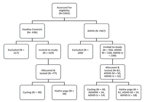 The Effects of Different Exercise Approaches on Attention Deficit ...