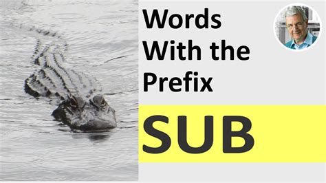 Words With the Prefix SUB (6 Illustrated Examples) - YouTube