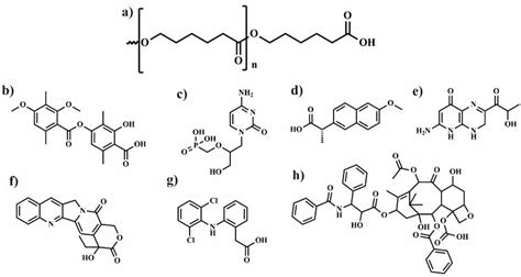 Biocompatible Polymers Combined with Cyclodextrins: Fascinating ...