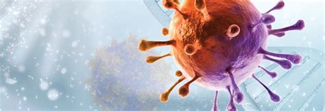 Viral Vector Manufacturing Process 的图像结果