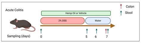 Orally Administered CBD/CBG Hemp Extract Reduces Severity of Ulcerative ...