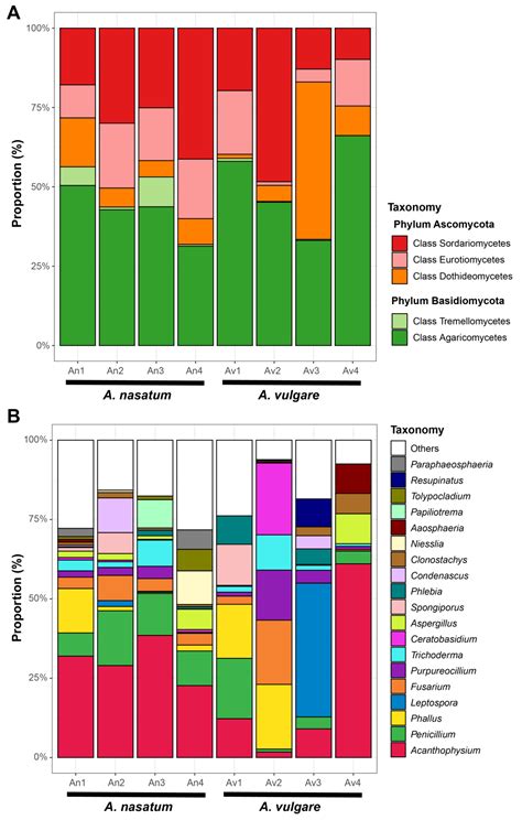 Fungal Diversity Associated with Armadillidium Isopods: A Case Study in ...