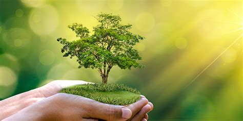 Environment Setting 的图像结果