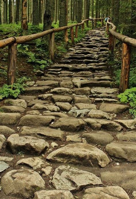 Walk-In Nature 的图像结果