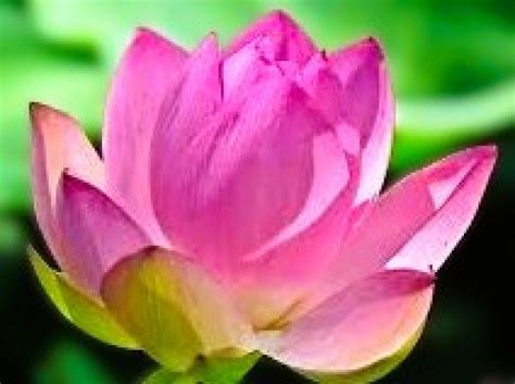 Peace Concert- Free, Harmony Hall, Auckland, 27 September 2025 | AllEvents