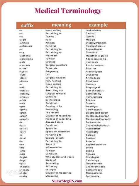Medical Terminology Prefixes And Suffixes Prefixes And Suffixes | PDF