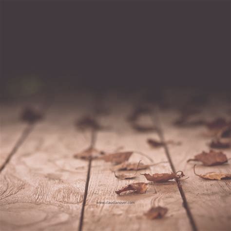 66 Zitate zur Veränderung - lasse dich inspirieren