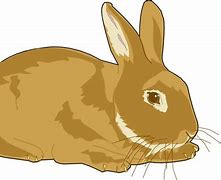 Image result for Easter Bunny Rabbit Cartoon