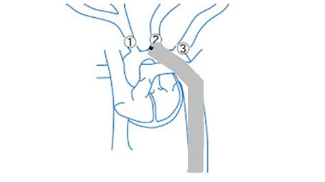Image result for Rock Paper Scissors Java Program