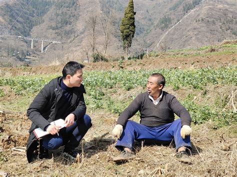 博州农技人员一线指导春耕生产-新疆维吾尔自治区科学技术协会