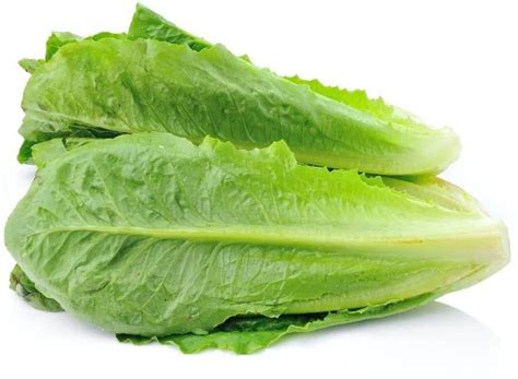 VIATION LETTUCE - ROMAINE Seed Price in India - Buy VIATION LETTUCE ...