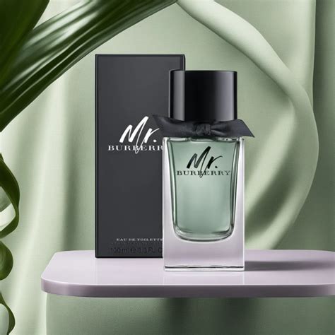 10 Best Burberry Colognes for Men - Pressversity