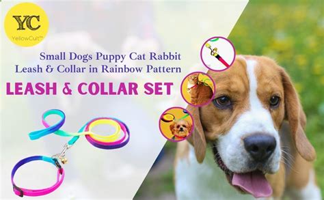 YellowCult Small Dogs Puppy Cat Rabbit Leash & Collar in Rainbow ...
