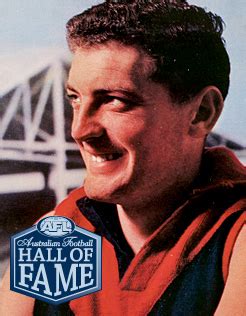 History - AFL India (ARFAI)AFL India (ARFAI)
