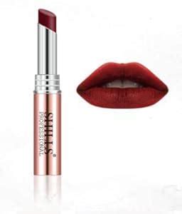 Buy Shills Professional Velvety Touch Non Transfer Matte Lipstick 10 ...
