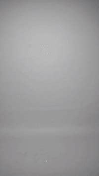 Shop Beige Peplum Top And Flared Pant Co Ord Set for Women Online